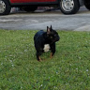 Meet your Posher, Jose